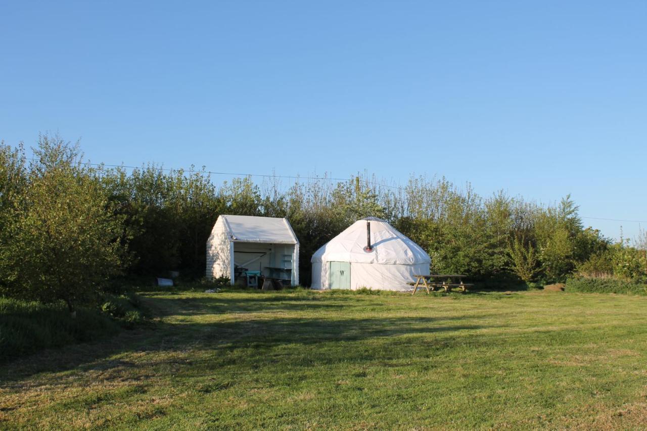 Mill Haven Place Glamping Yurt 3 Haverfordwest Eksteriør billede