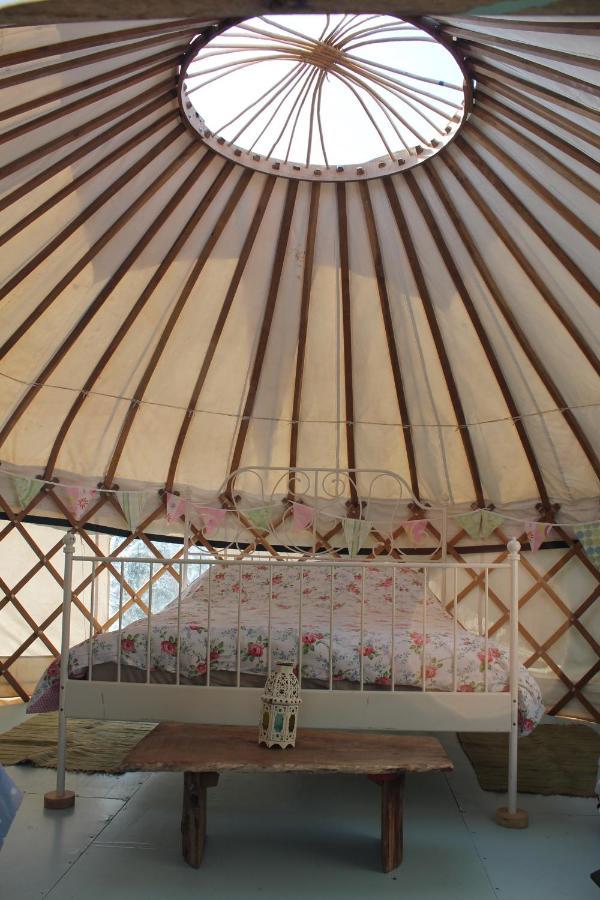 Mill Haven Place Glamping Yurt 3 Haverfordwest Eksteriør billede