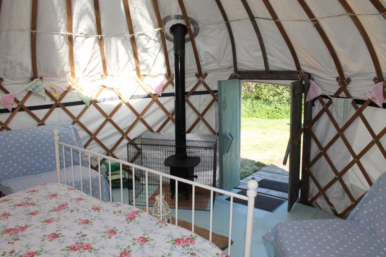Mill Haven Place Glamping Yurt 3 Haverfordwest Eksteriør billede